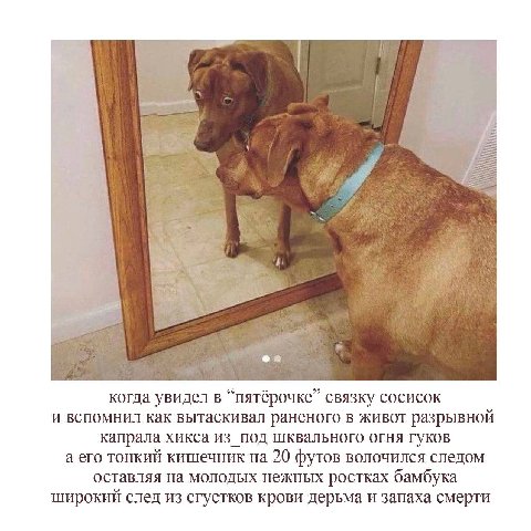 3 когда увидел в “пятёрочке” связку сосисок и вспомнил как вытаскивал раненого в живот разрывной капрала хикса из под шквального огня гуков а его тонкий кишечник на 20 футов волочился следом оставляя 