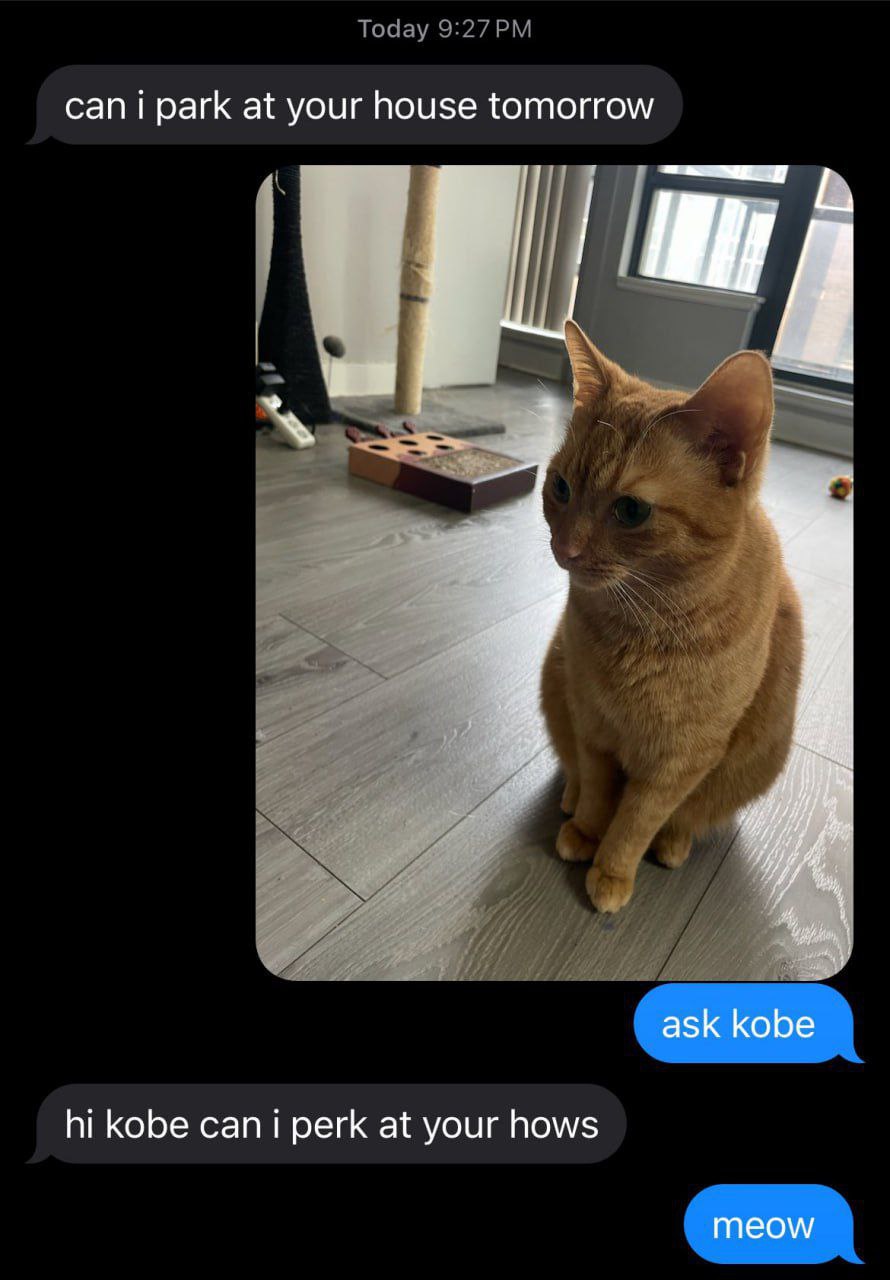 сап i park at your house tomorrow a ask kobe kobe сап perk at your hows Meow