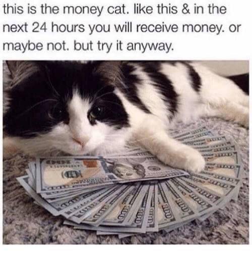 this is the money cat. like this in the next 24 hours you will receive money. or maybe not. but try it anyway.