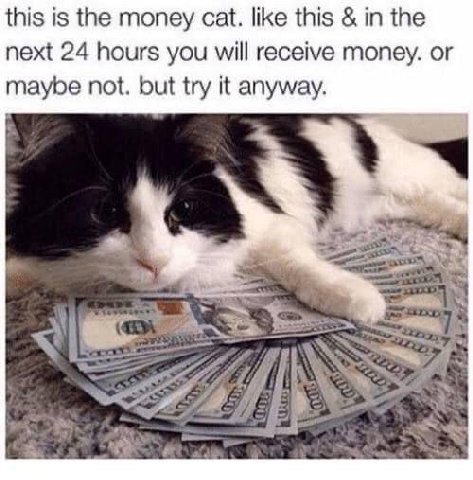 this is the money cat. like this in the next 24 hours you will receive money. or maybe not. but try it anyway.