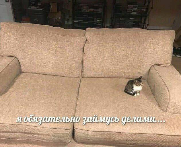 a 5 я 1 eves обязательно 4,