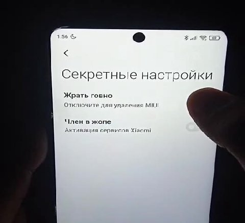 Секретные настройки Жрать говно Отключите для удаления МИЛ ‘The system has been destroyed Press power button to shutdown