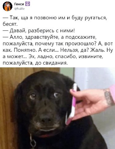 Генси @fcuktv Так, я позвоню и буду ругаться, бесят. Давай, разберись с ними! Алло, здравствуйте, а подскажите, пожалуйста, почему так произошло? А, вот как. Понятно. А если... Нельзя, да? Жаль. Ну а 