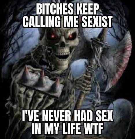 BITCHES KEEP CALLING ME SEXIST I'VE NEVER HAD SEX IN MY LIFE WTF