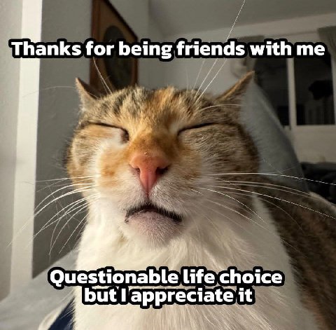 Thanks for being friends with me Questionable life choice but! appre it и