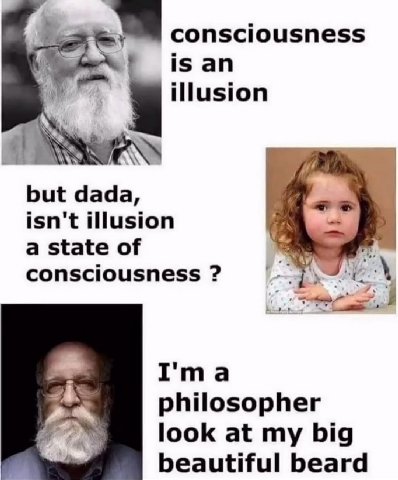 consciousness is an illusion but isn't illusion a state of consciousness I'ma philosopher look at my big beautiful beard