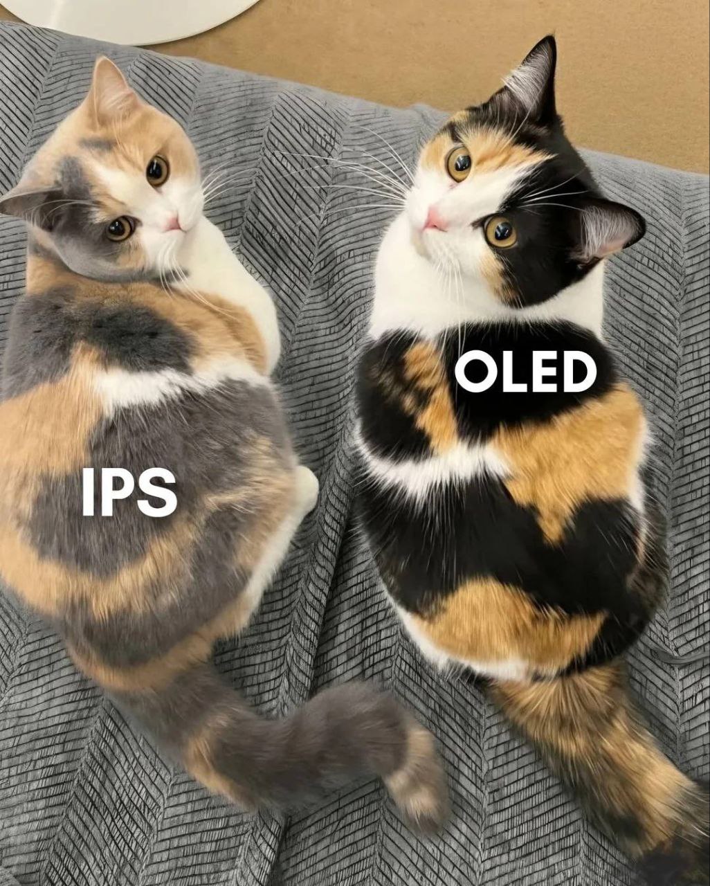 4 OLE IPS a
