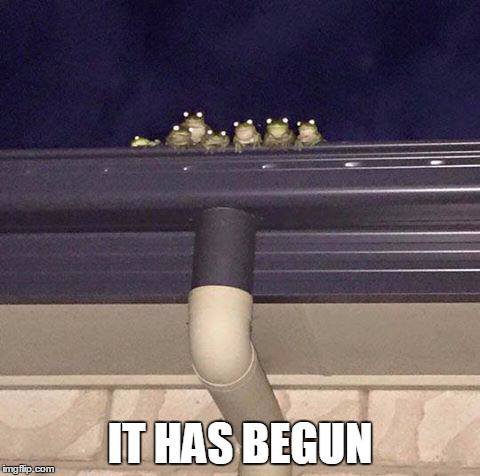 BEGUN