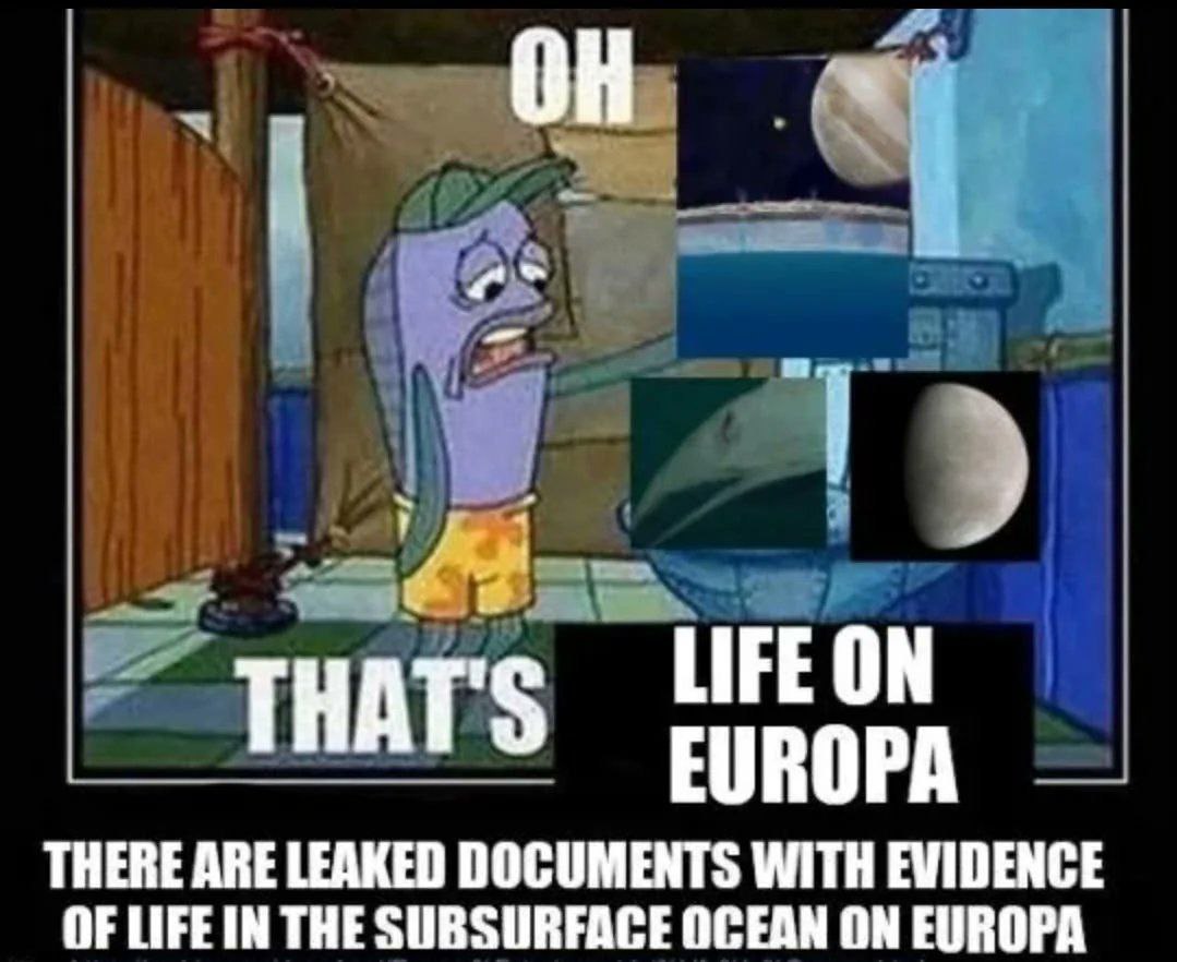 THAT'S LIFE ON EUROPA THERE ARE LEAKED DOCUMENTS WITH EVIDENCE OF THE SUBSURFACE OCEAN ON EUROPA
