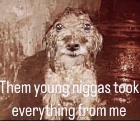 Them took everything from me
