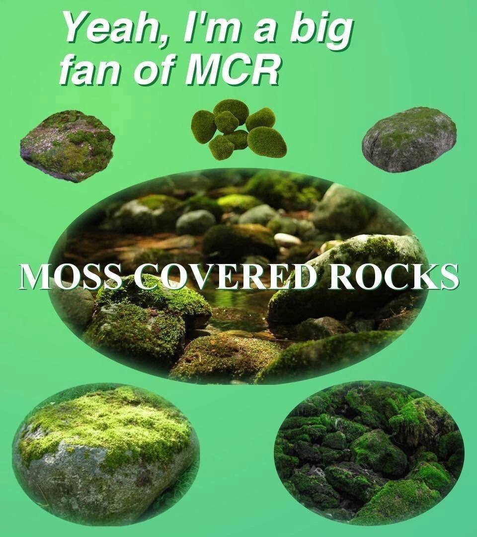 Yeah, a big fan of MCR ROCKS
