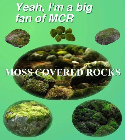 Yeah, a big fan of MCR ROCKS