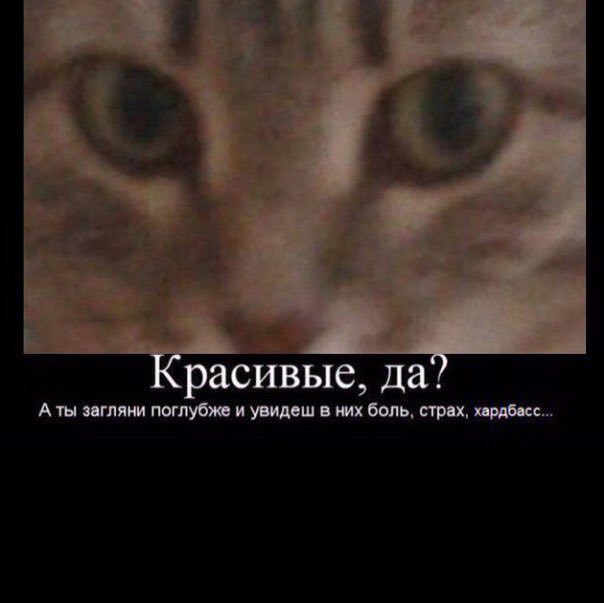 Красивые. да? А ты загляни поглубже и увидеш в них боль страх. ›ардбасс
