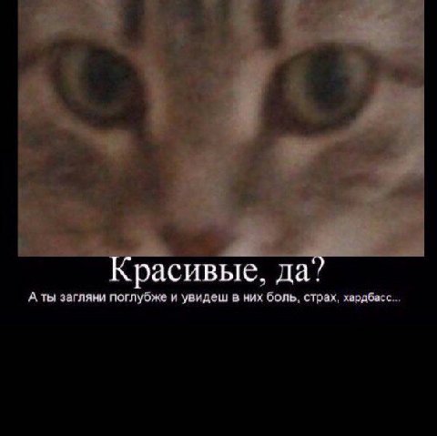 Красивые. да? А ты загляни поглубже и увидеш в них боль страх. ›ардбасс
