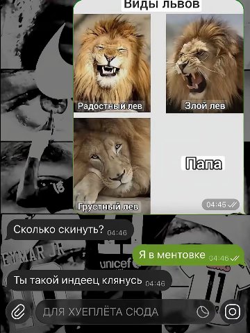 2ИДЫ ЛЬВОВ И, Радостный лев Злой лев Грустный лев 04:45 7 Сколько скинуть? Я в ментовке Ты такой индеец клянусь