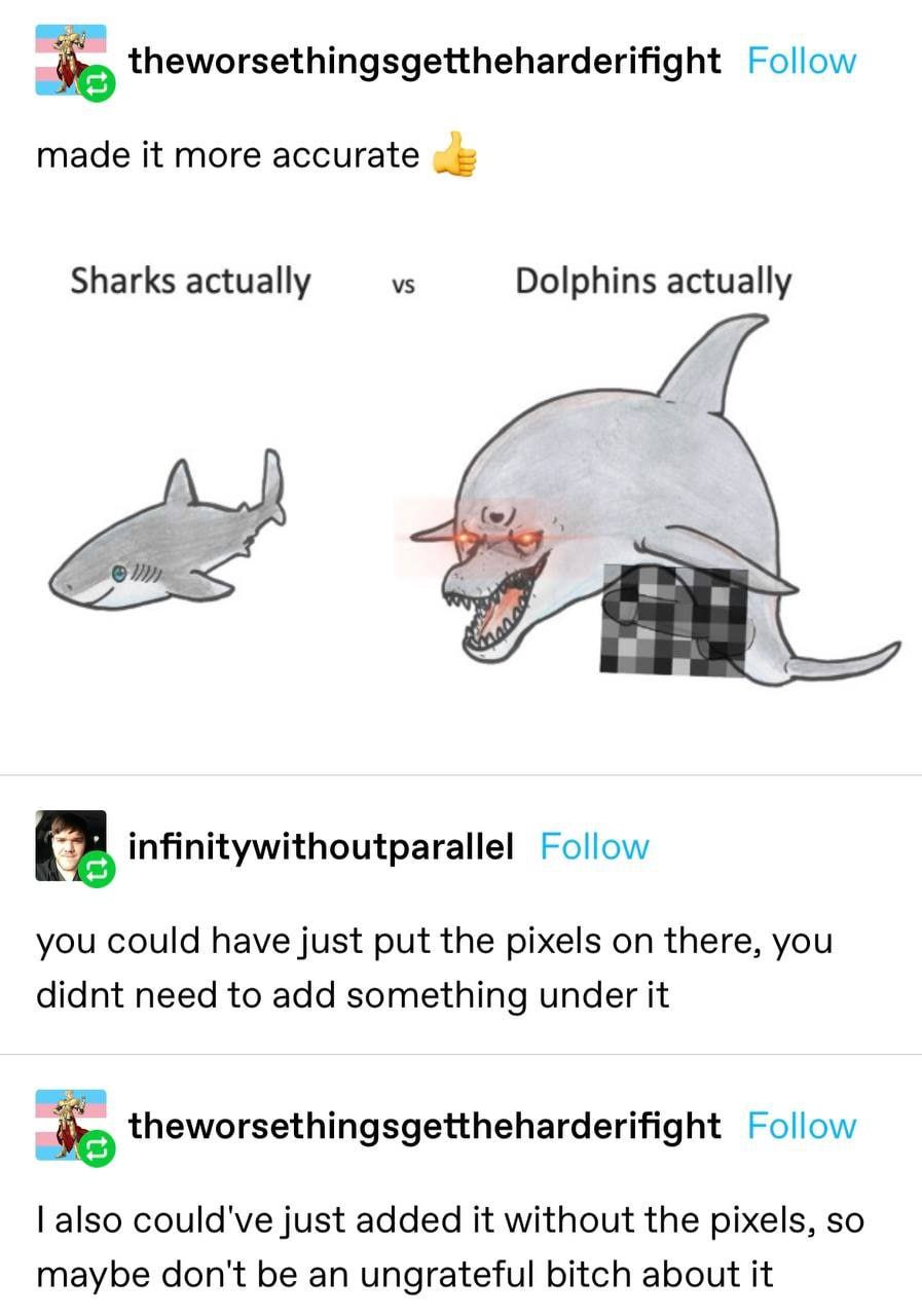 theworsethingsgettheharderifight Follow made it more accurate Sharks actually Dolphins actually infinitywithoutparallel Follow you could have just put the pixels on there, you didnt need to add someth