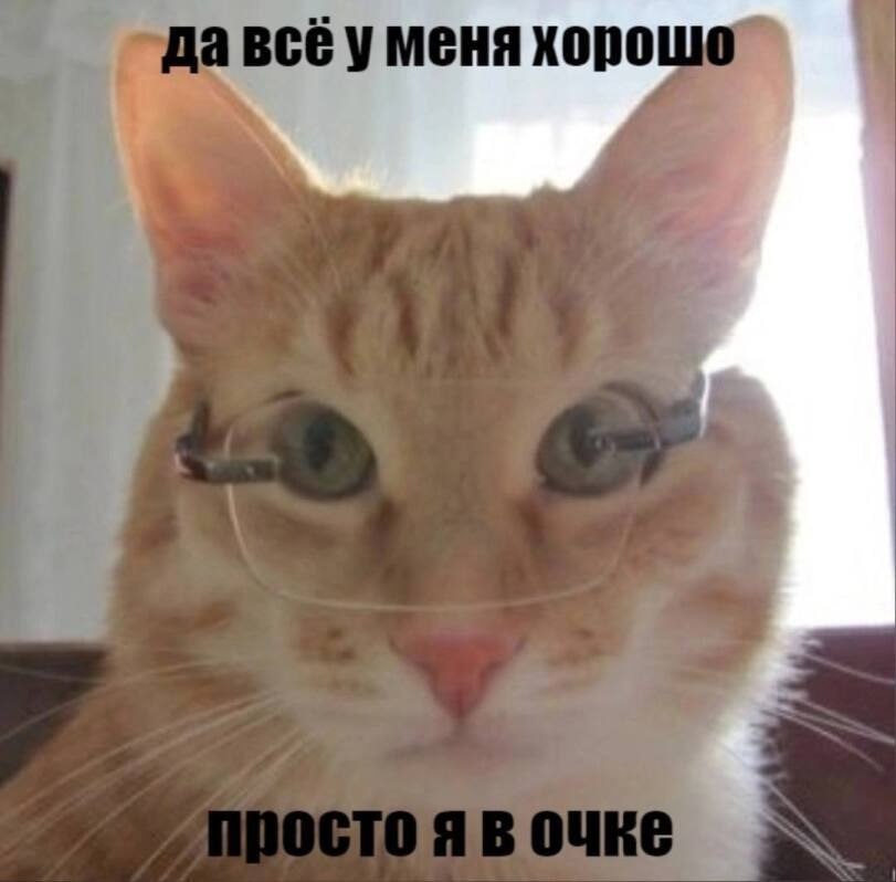 всё у меня хоро