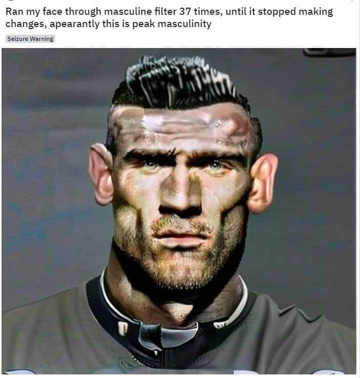 Ran my face through masculine filter 37 times, until it stopped making changes, apearantly this is peak masculinity Selzuré Warning at