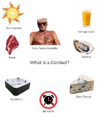 Sunmaxxing A Orange Juice у Tuto Passa mentality Steak Oysters What is a Cortisol? Raw Cheese Hot Baths No alarm