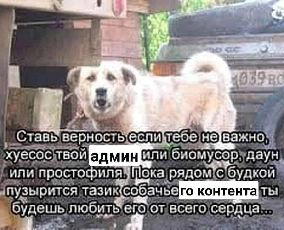 7 i= 14 верность важно хуесоствой или простофиля рядом будкой\ Эго