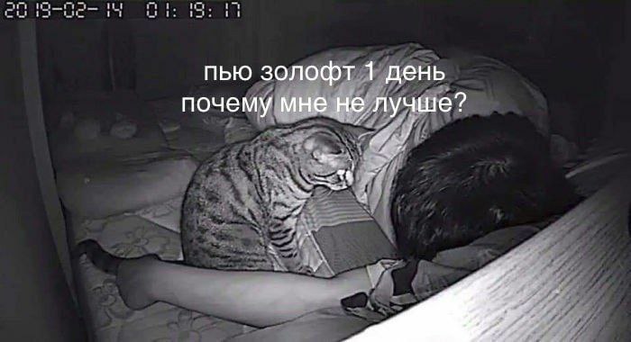 пью золофт 1 день почему мне не лучше?