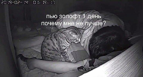 пью золофт 1 день почему мне не лучше?