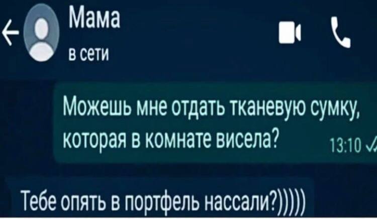 Мама 8 В Сети Можешь мне отдать тканевую сумку, которая в комнате висела’ Тебе опять в портфель нассали?)))))
