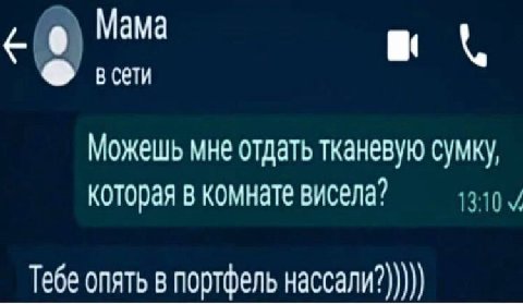 Мама 8 В Сети Можешь мне отдать тканевую сумку, которая в комнате висела’ Тебе опять в портфель нассали?)))))