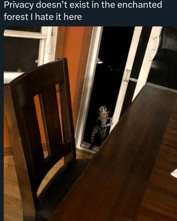 Privacy doesn’t exist in the enchanted forest hate it here