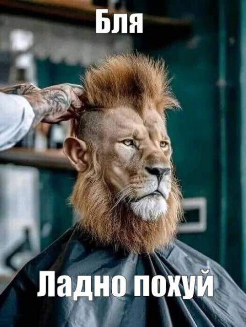 сионисты такие