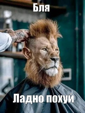 сионисты такие