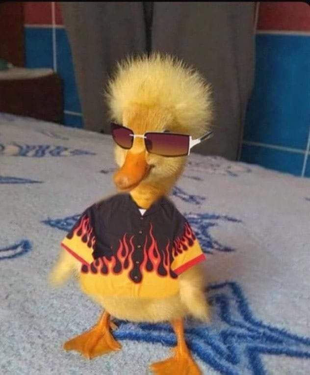 7 2