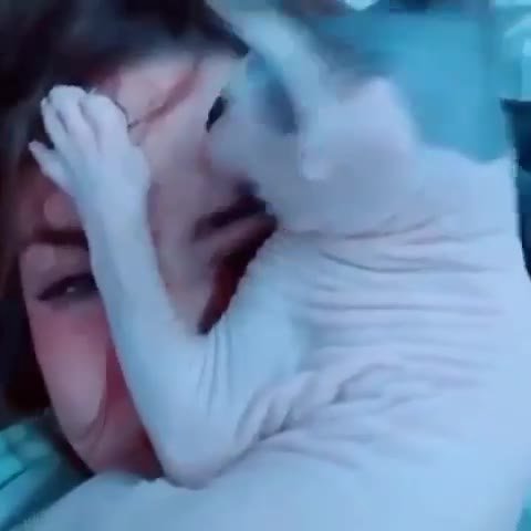 мем