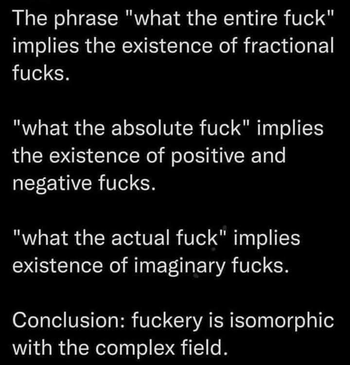 Тре phrase "what the entire fuck" implies the existence of fractional fucks. "what the absolute fuck" implies the existence of positive and negative fucks. "what the actual fuck" implies existence of 