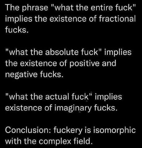 Тре phrase "what the entire fuck" implies the existence of fractional fucks. "what the absolute fuck" implies the existence of positive and negative fucks. "what the actual fuck" implies existence of 