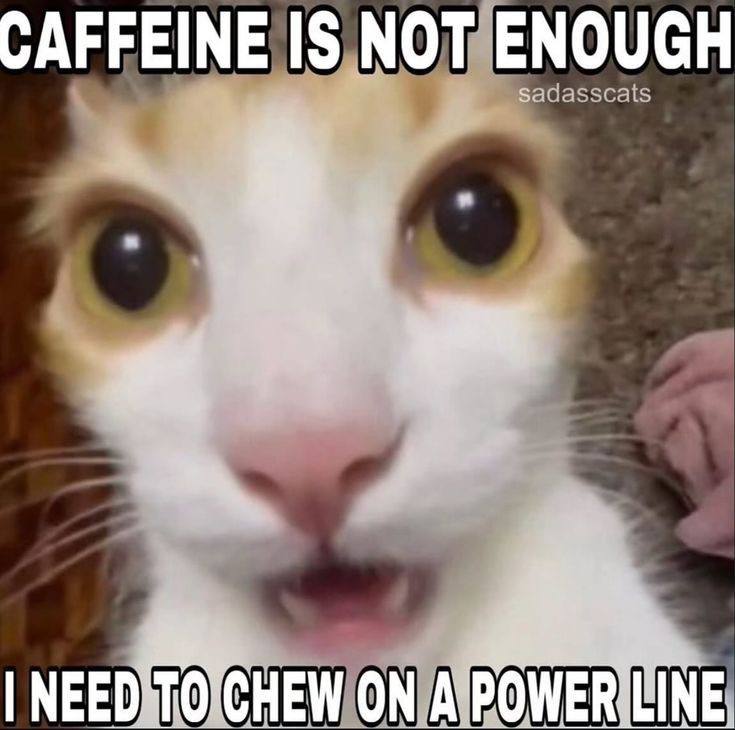 CAFFEINE IS NOT ENOUGH NEED CHEW ON АРОМЕВ ИМЕ.