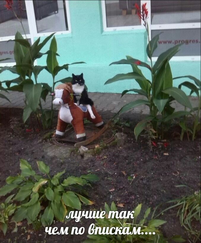 лучше так чем по впискам