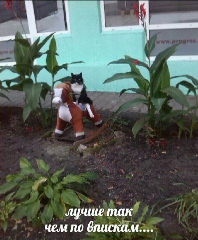 лучше так чем по впискам