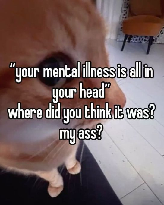 “your mental is all in our where did you think it my ass?