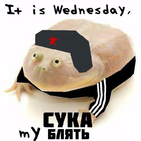 is Wednesday, my БЛЯТЬ