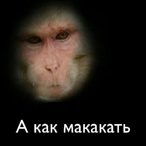 А как макакать