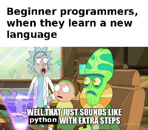 Beginner programmers, when they learn a new language SOUNDS LIKE python WITHEXTRASTEPS