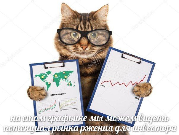 ‘a; 2015 income analysis LOFT Dbt пржения