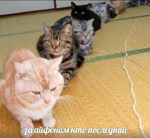 за айфоном кто последний