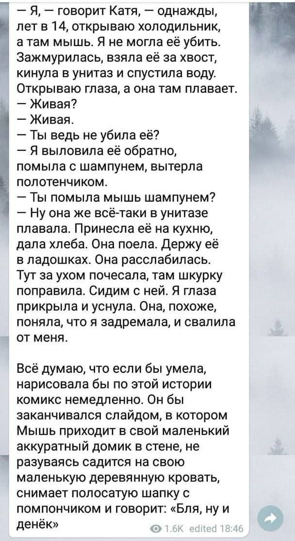 —Я, говорит Катя, однажды, летв 14, открываю холодильник, атам мышь. Я не могла её убить. Зажмурилась, взяла её за хвост, кинула в унитаз и спустила воду. Открываю глаза, а она там плавает. Живая? Жив