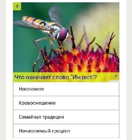 7 4 у 4 4 Что означает слово "Инцест"? Насекомое Кровосмешение Семейная традиция Начисляемый процент