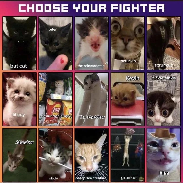 CHOOSE TOUR FIGHTER biter bat cat я the reincarnated scru Kevin dinkie 1 i guy 4 a Чеер sea creature grunkus