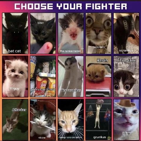 CHOOSE TOUR FIGHTER biter bat cat я the reincarnated scru Kevin dinkie 1 i guy 4 a Чеер sea creature grunkus