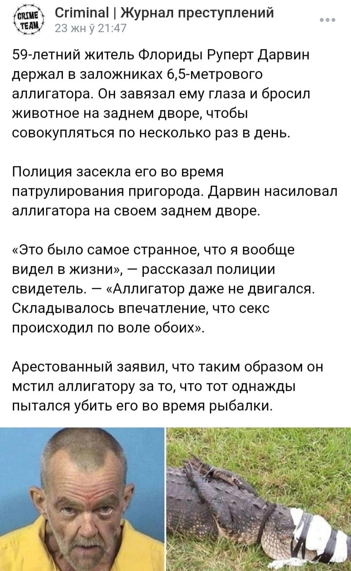 "Аллигатор — охуенная тема!" - прокомментировал подозреваемый