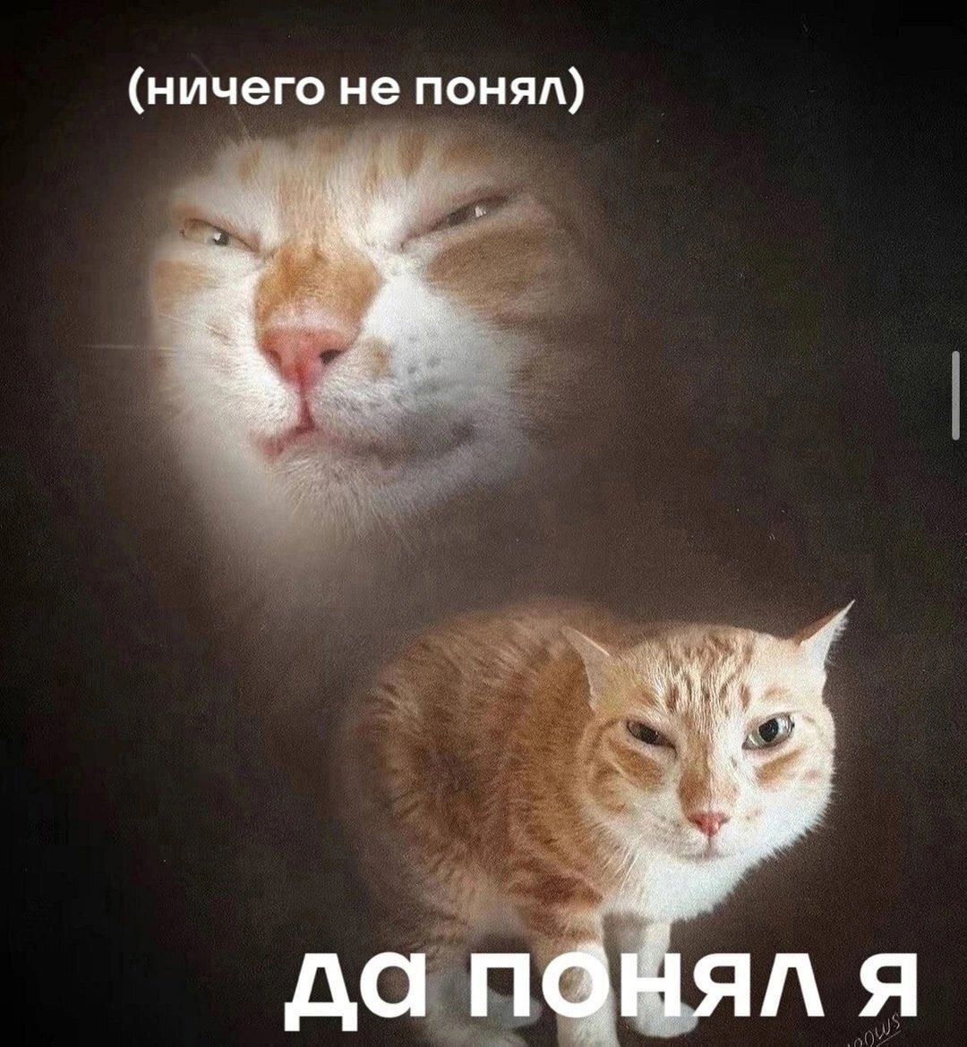 (ничего не понял) да панял я